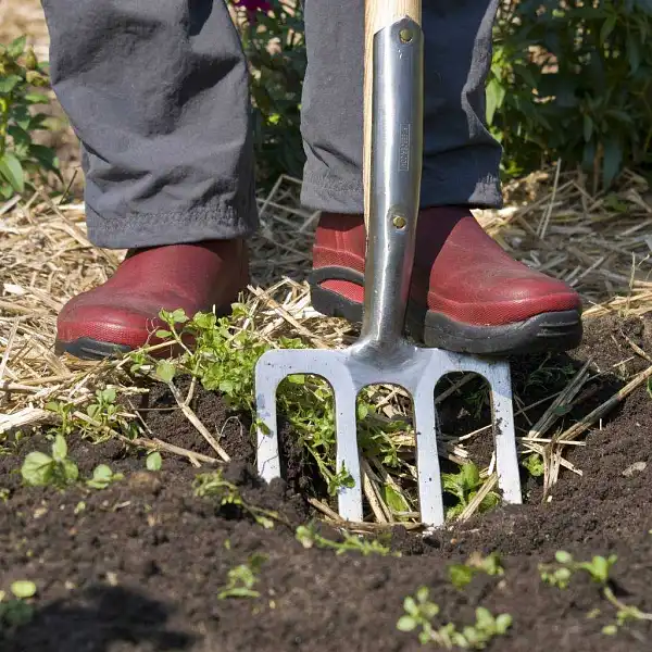 fourche beche 4 dents